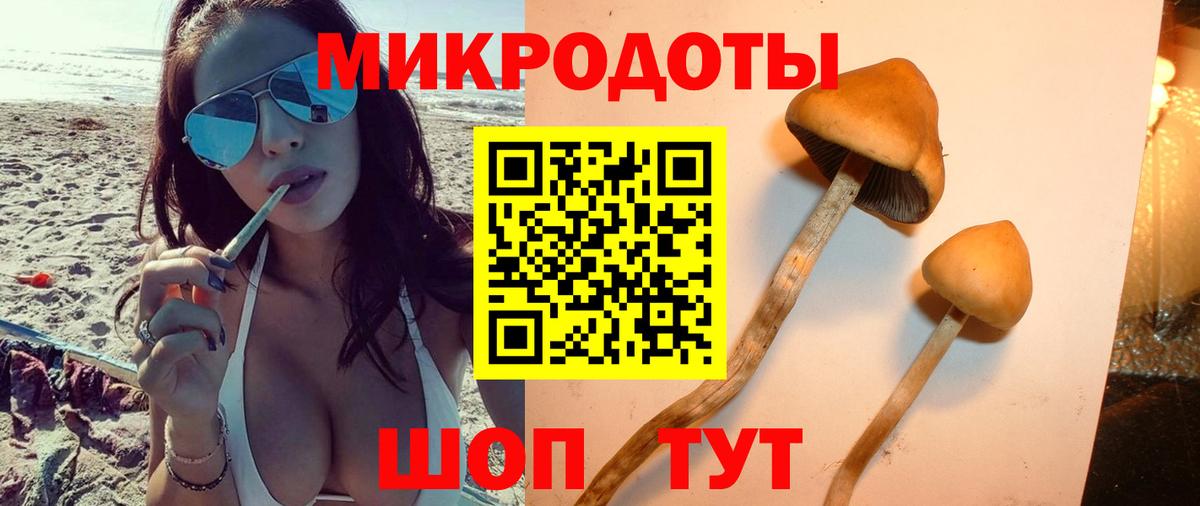 Галлюциногенные грибы мицелий Троицк