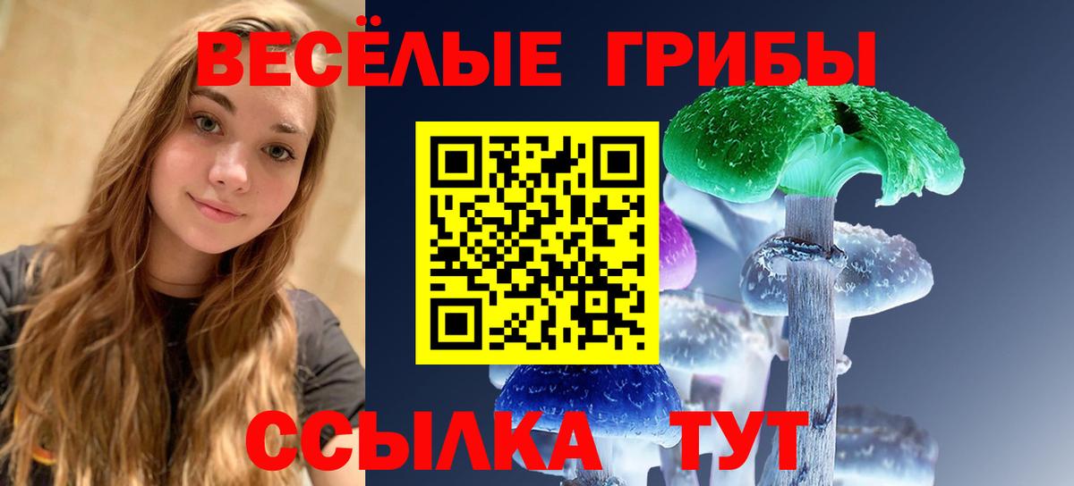 Галлюциногенные грибы прущие грибы  Галлюциногенные грибы прущие грибы  Вход с VPN  Троицк 